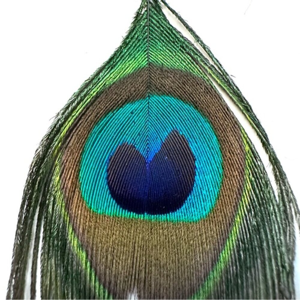 Peacock Feather Earrings Boho Chic Festival Jewelry - Picture 7 of 9